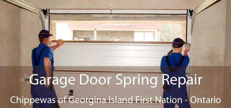 Garage Door Spring Repair Chippewas of Georgina Island First Nation - Ontario