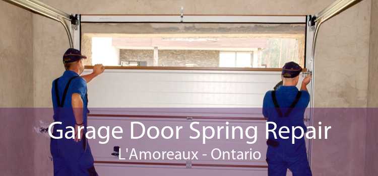 Garage Door Spring Repair L'Amoreaux - Ontario