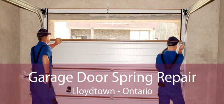 Garage Door Spring Repair Lloydtown - Ontario