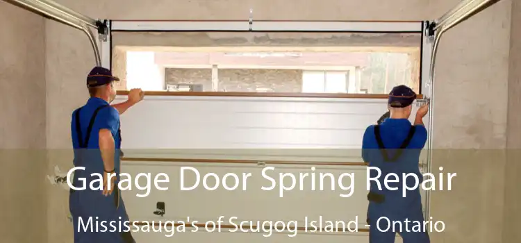 Garage Door Spring Repair Mississauga's of Scugog Island - Ontario