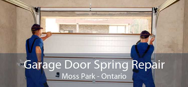 Garage Door Spring Repair Moss Park - Ontario