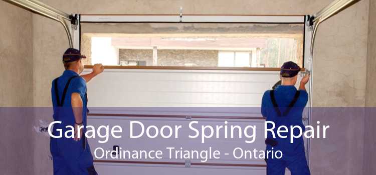 Garage Door Spring Repair Ordinance Triangle - Ontario