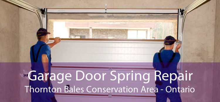 Garage Door Spring Repair Thornton Bales Conservation Area - Ontario