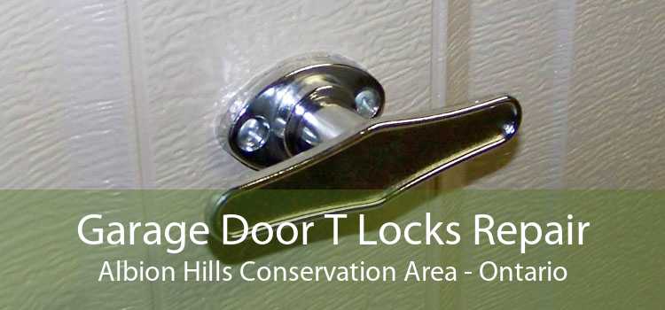 Garage Door T Locks Repair Albion Hills Conservation Area - Ontario