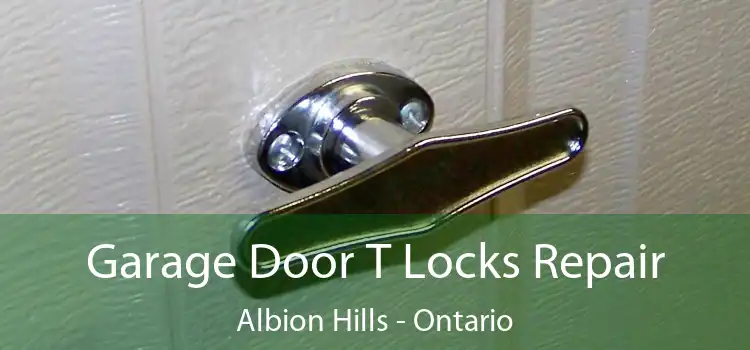 Garage Door T Locks Repair Albion Hills - Ontario