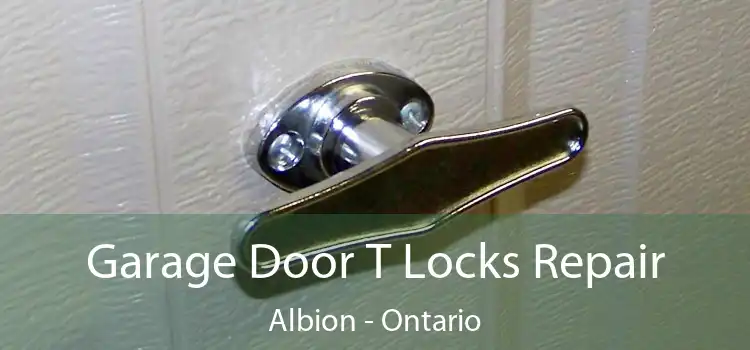 Garage Door T Locks Repair Albion - Ontario