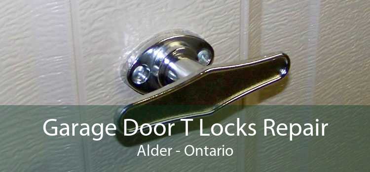 Garage Door T Locks Repair Alder - Ontario