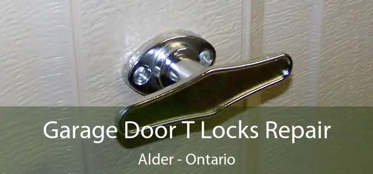 Garage Door T Locks Repair Alder - Ontario
