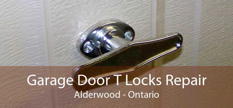 Garage Door T Locks Repair Alderwood - Ontario