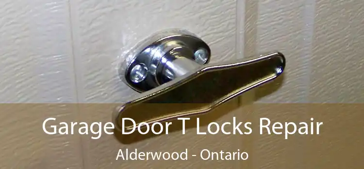 Garage Door T Locks Repair Alderwood - Ontario