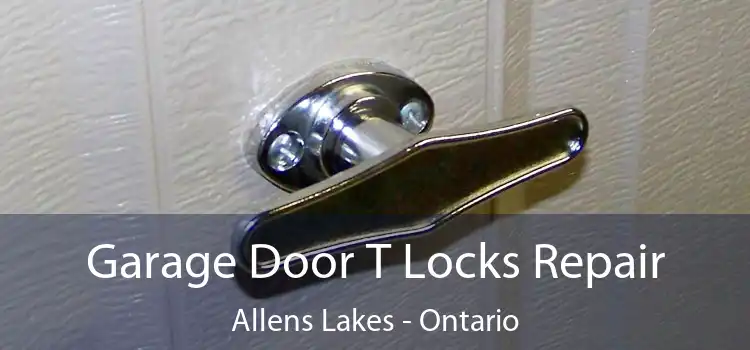 Garage Door T Locks Repair Allens Lakes - Ontario