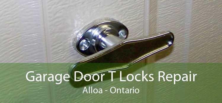 Garage Door T Locks Repair Alloa - Ontario