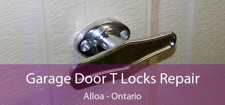 Garage Door T Locks Repair Alloa - Ontario