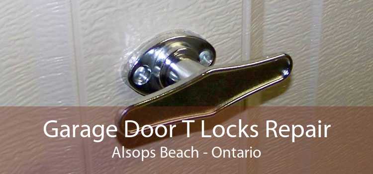 Garage Door T Locks Repair Alsops Beach - Ontario