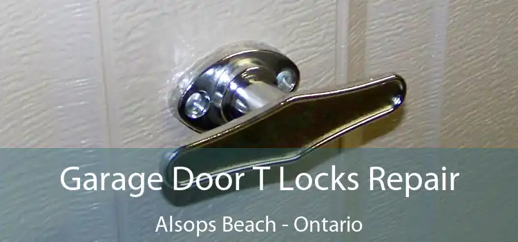 Garage Door T Locks Repair Alsops Beach - Ontario