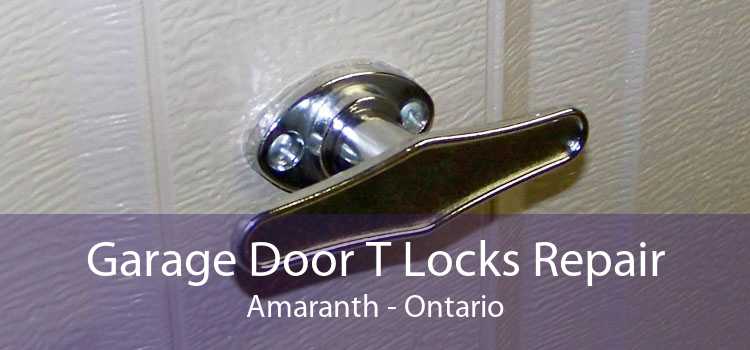 Garage Door T Locks Repair Amaranth - Ontario