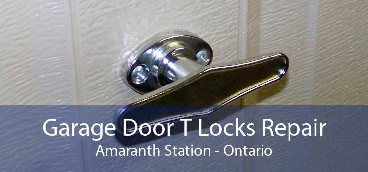 Garage Door T Locks Repair Amaranth Station - Ontario