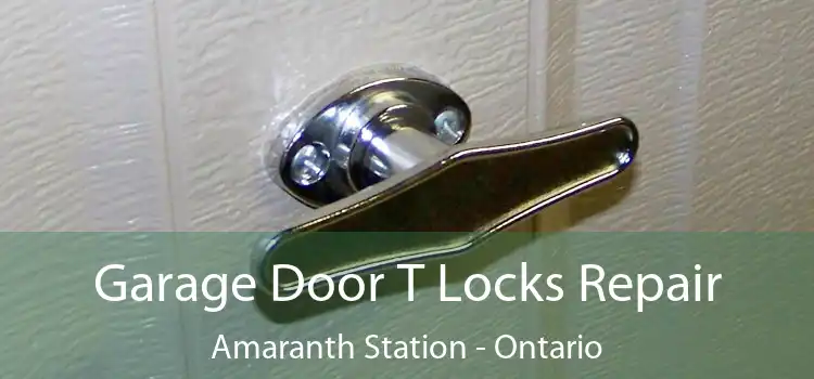 Garage Door T Locks Repair Amaranth Station - Ontario