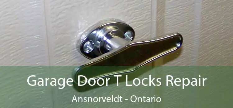 Garage Door T Locks Repair Ansnorveldt - Ontario