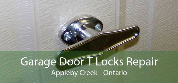 Garage Door T Locks Repair Appleby Creek - Ontario