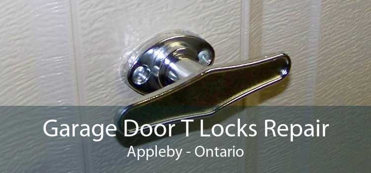 Garage Door T Locks Repair Appleby - Ontario