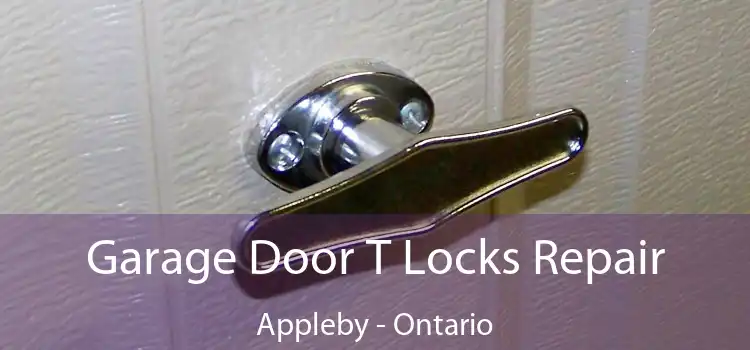 Garage Door T Locks Repair Appleby - Ontario