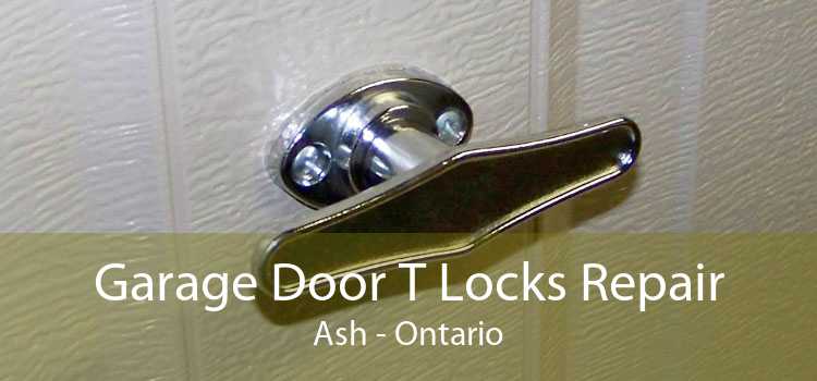 Garage Door T Locks Repair Ash - Ontario