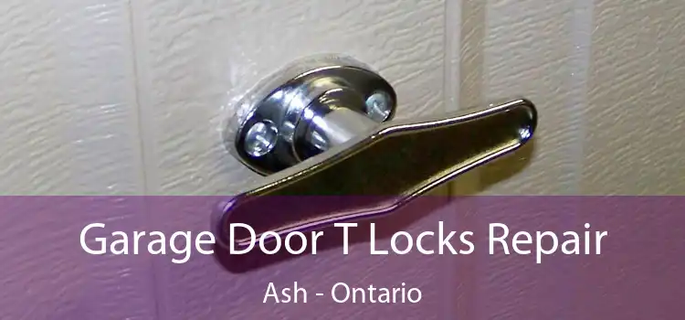Garage Door T Locks Repair Ash - Ontario