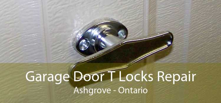 Garage Door T Locks Repair Ashgrove - Ontario