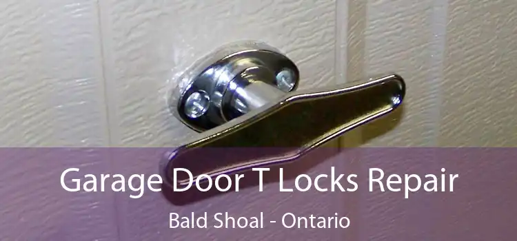 Garage Door T Locks Repair Bald Shoal - Ontario