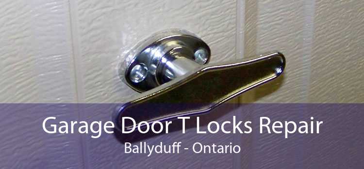 Garage Door T Locks Repair Ballyduff - Ontario