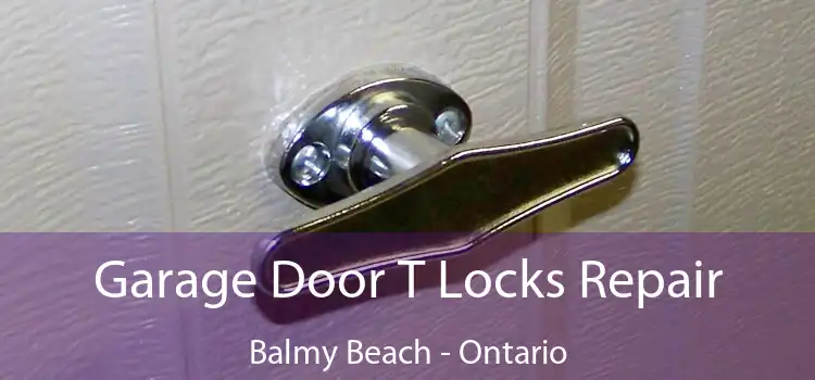 Garage Door T Locks Repair Balmy Beach - Ontario