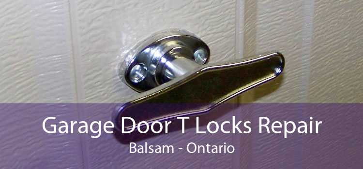 Garage Door T Locks Repair Balsam - Ontario