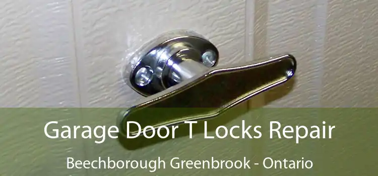 Garage Door T Locks Repair Beechborough Greenbrook - Ontario