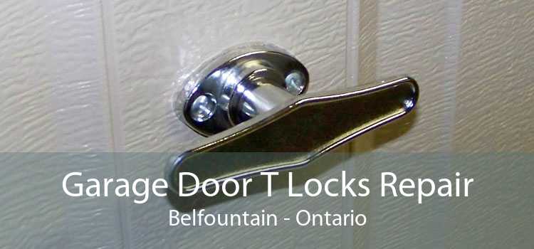Garage Door T Locks Repair Belfountain - Ontario