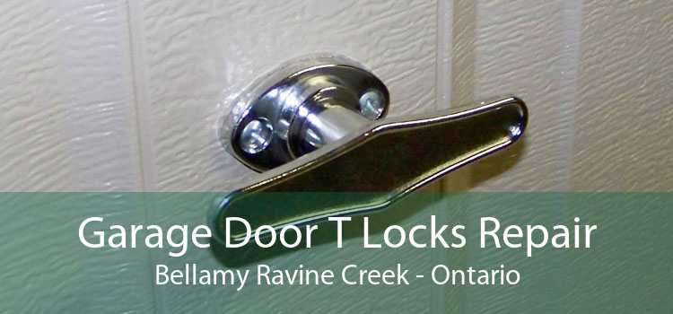 Garage Door T Locks Repair Bellamy Ravine Creek - Ontario