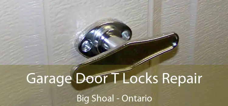 Garage Door T Locks Repair Big Shoal - Ontario