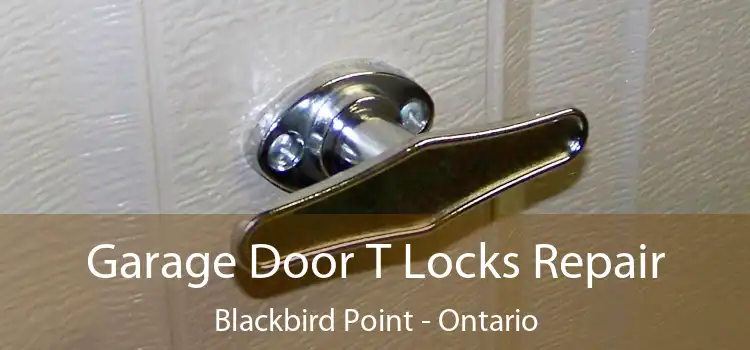 Garage Door T Locks Repair Blackbird Point - Ontario