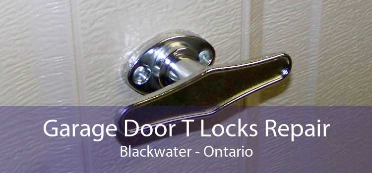 Garage Door T Locks Repair Blackwater - Ontario