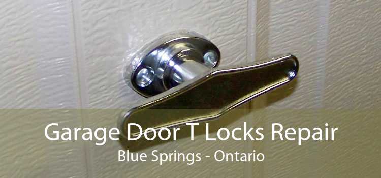 Garage Door T Locks Repair Blue Springs - Ontario