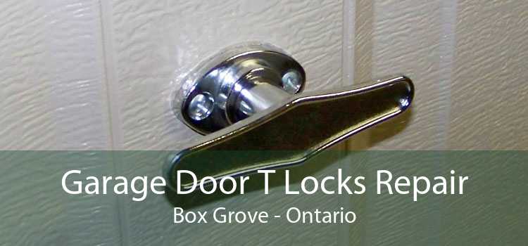 Garage Door T Locks Repair Box Grove - Ontario