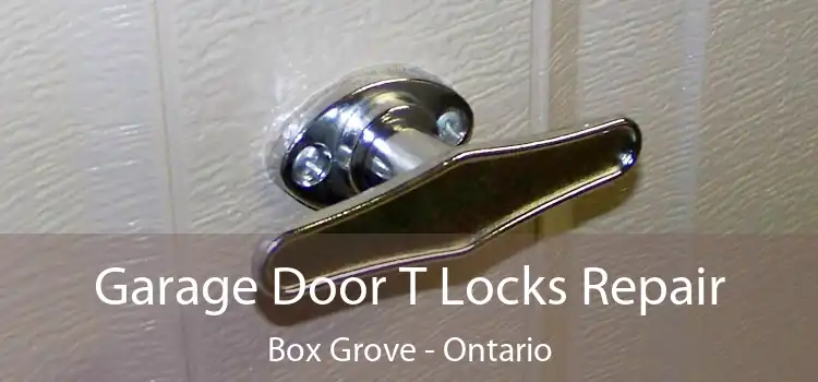 Garage Door T Locks Repair Box Grove - Ontario