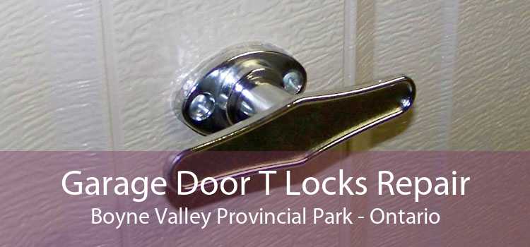Garage Door T Locks Repair Boyne Valley Provincial Park - Ontario