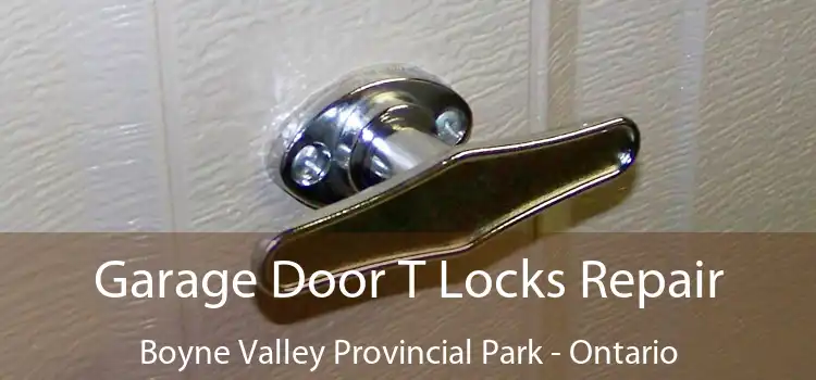 Garage Door T Locks Repair Boyne Valley Provincial Park - Ontario