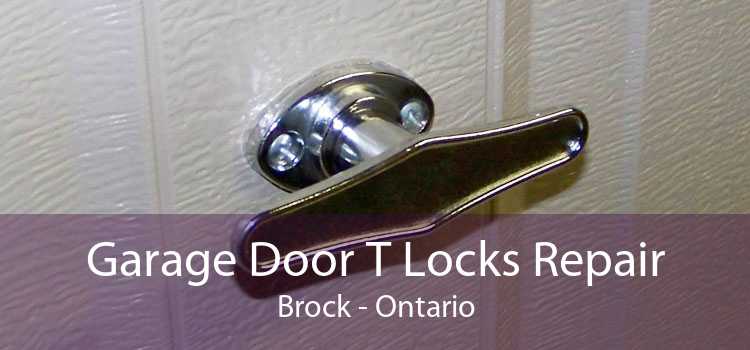 Garage Door T Locks Repair Brock - Ontario