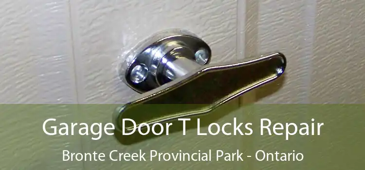 Garage Door T Locks Repair Bronte Creek Provincial Park - Ontario
