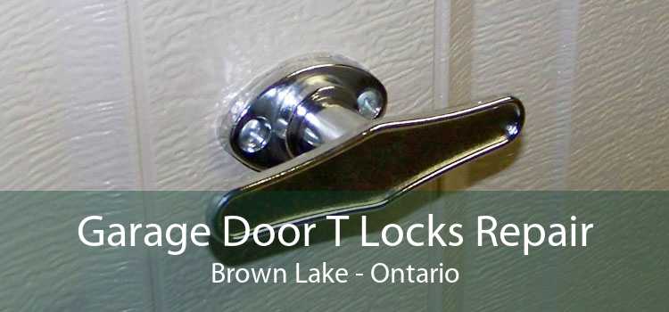 Garage Door T Locks Repair Brown Lake - Ontario