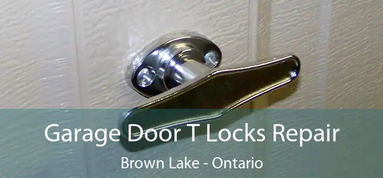 Garage Door T Locks Repair Brown Lake - Ontario