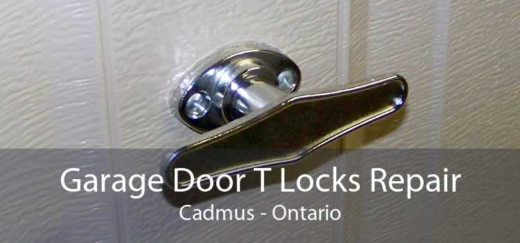 Garage Door T Locks Repair Cadmus - Ontario