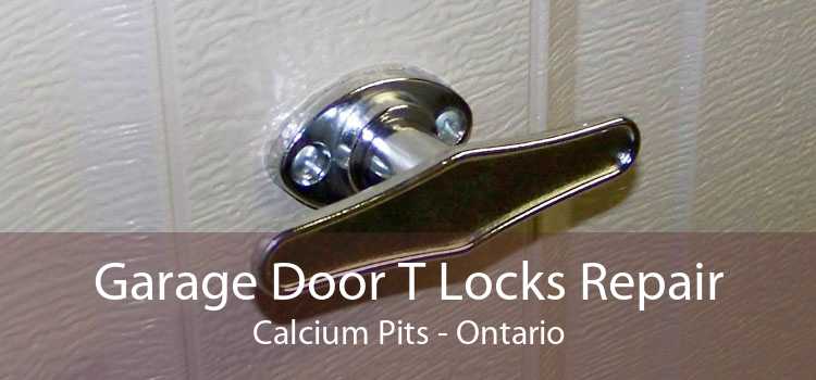 Garage Door T Locks Repair Calcium Pits - Ontario